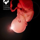 Illustration for article titled "It Is, I Hope, A Good Horror Story": Comic Series Stars Vengeful Fetus